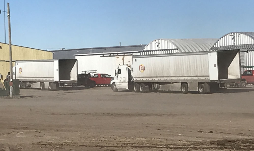 Western Potatoes grows spuds for Frito-Lay